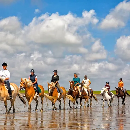 Gud Jard Nr 22 - Design-ferienhaus Mit Exklusiver Ausstattung *
