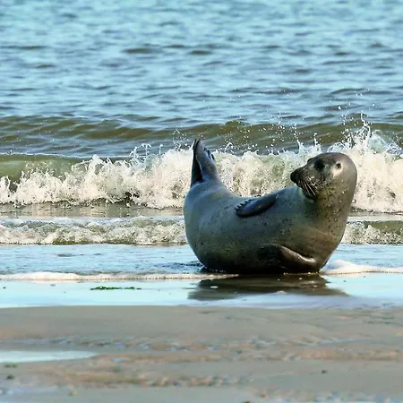 Gud Jard Nr 22 - Design-ferienhaus Mit Exklusiver Ausstattung Hébergement de vacances