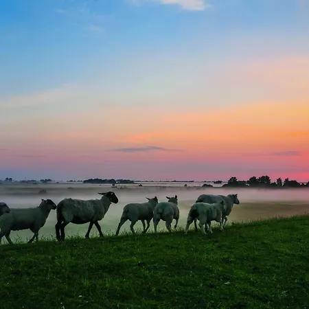 Gud Jard Nr 22 - Design-ferienhaus Mit Exklusiver Ausstattung
