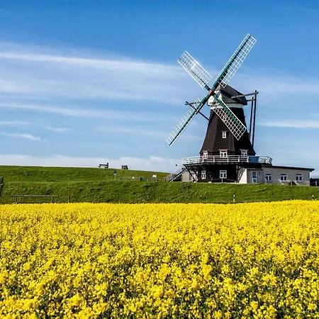 Gud Jard Nr 22 - Design-ferienhaus Mit Exklusiver Ausstattung Hébergement de vacances Pellworm